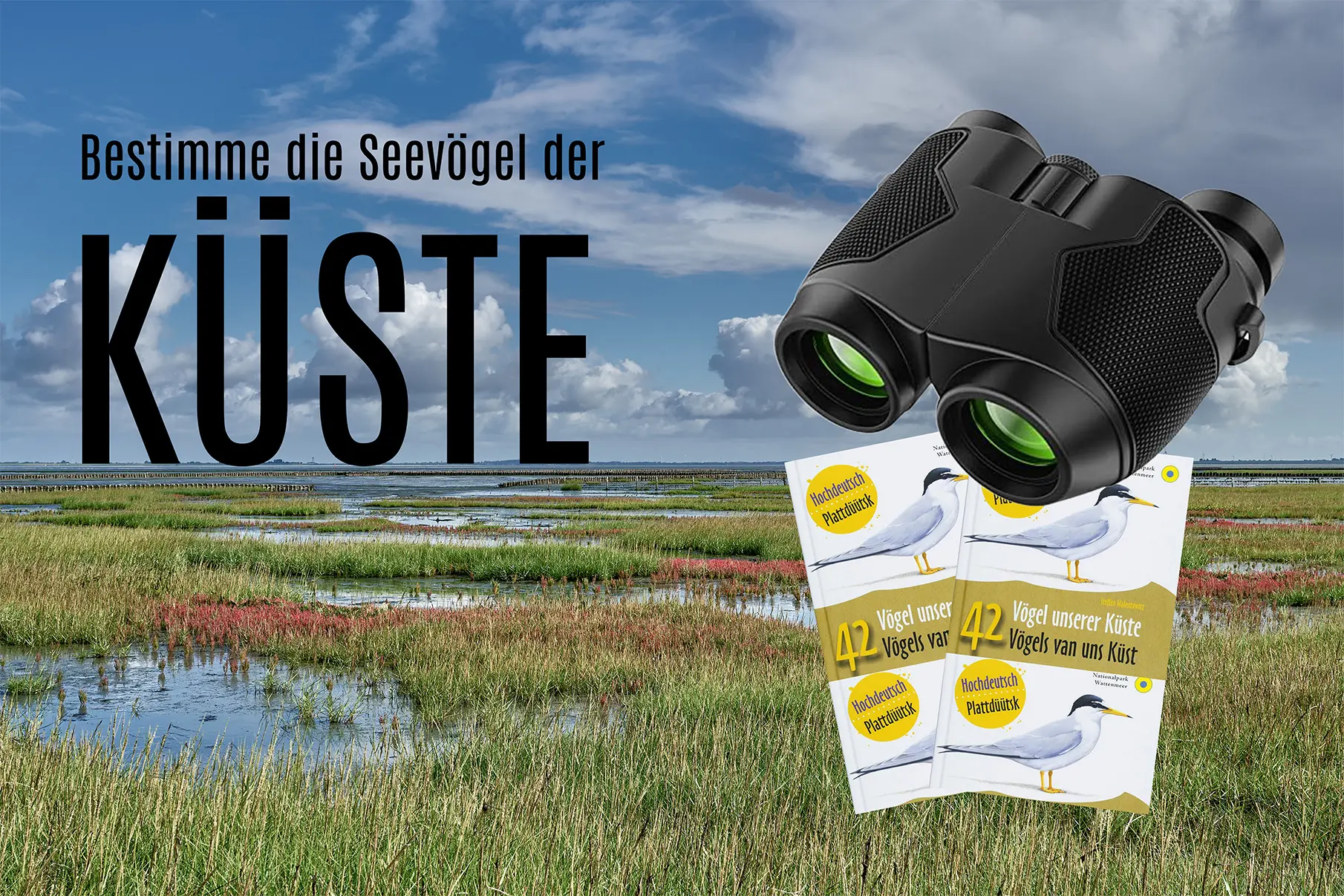 Seevögel bestimmen Agentur am Meer
